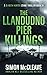 The Llandudno Pier Killings (DI Ruth Hunter #14)