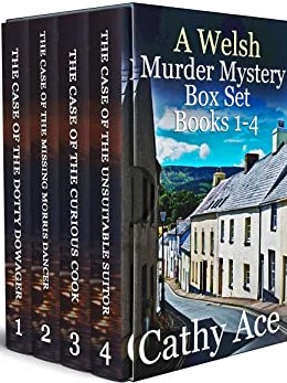 A Welsh Murder Mystery Box Set #1–4 (WISE Enquiries Agency #1-4)