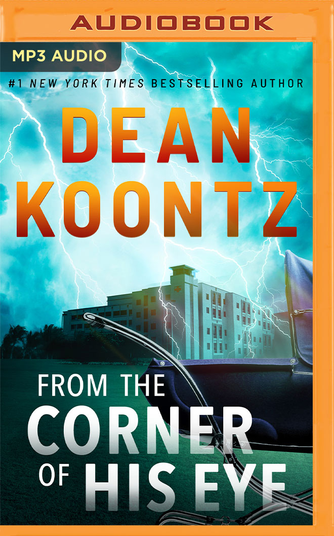 From the Corner of His Eye: A Novel