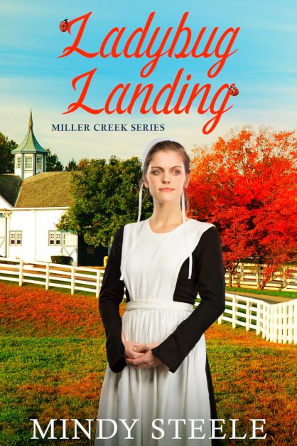 Ladybug Landing (Millers Creek #4)