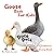 Duck Duck Goose Children's ...