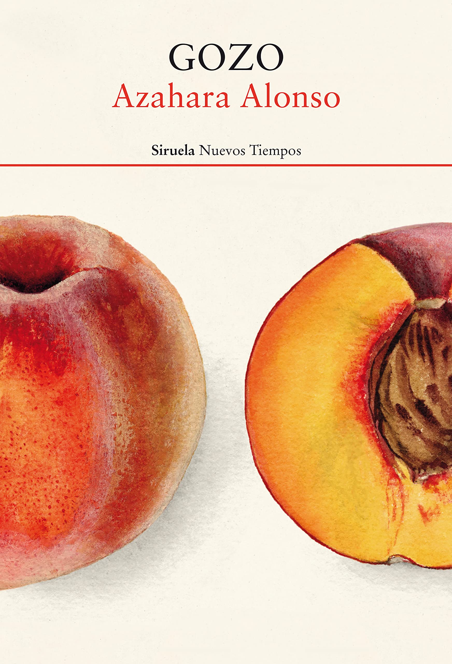 Gozo (Kindle Edition)