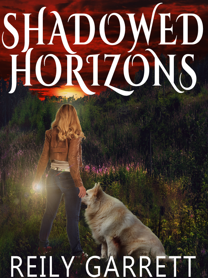 Shadowed Horizons (The Guardians, #1)