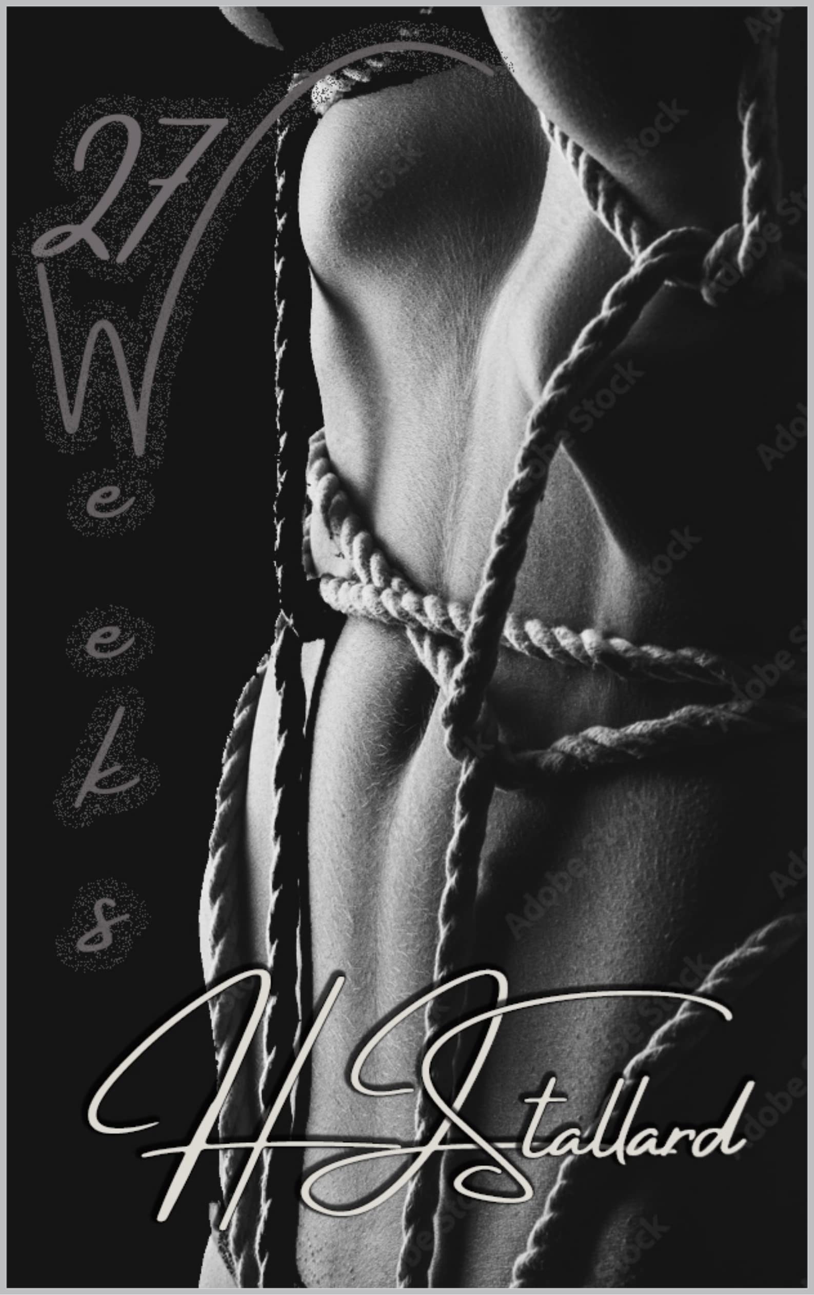 27 Weeks (Kindle Edition)