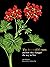 The Story of Flowers: And How They Changed the Way We Live