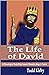 The Life of David: A Chronological Study Using the Books of Samuel, Kings, Chronicles & Psalms