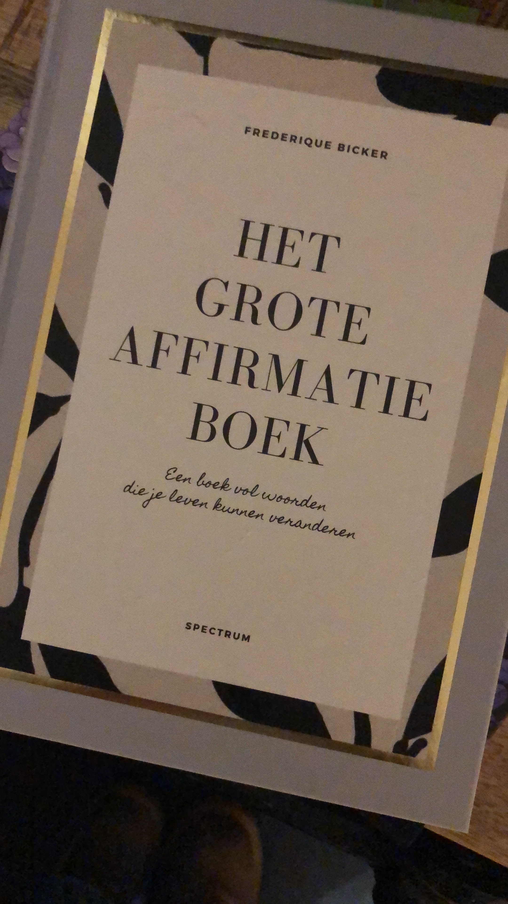 Het grote affirmatieboek (Dutch Edition)