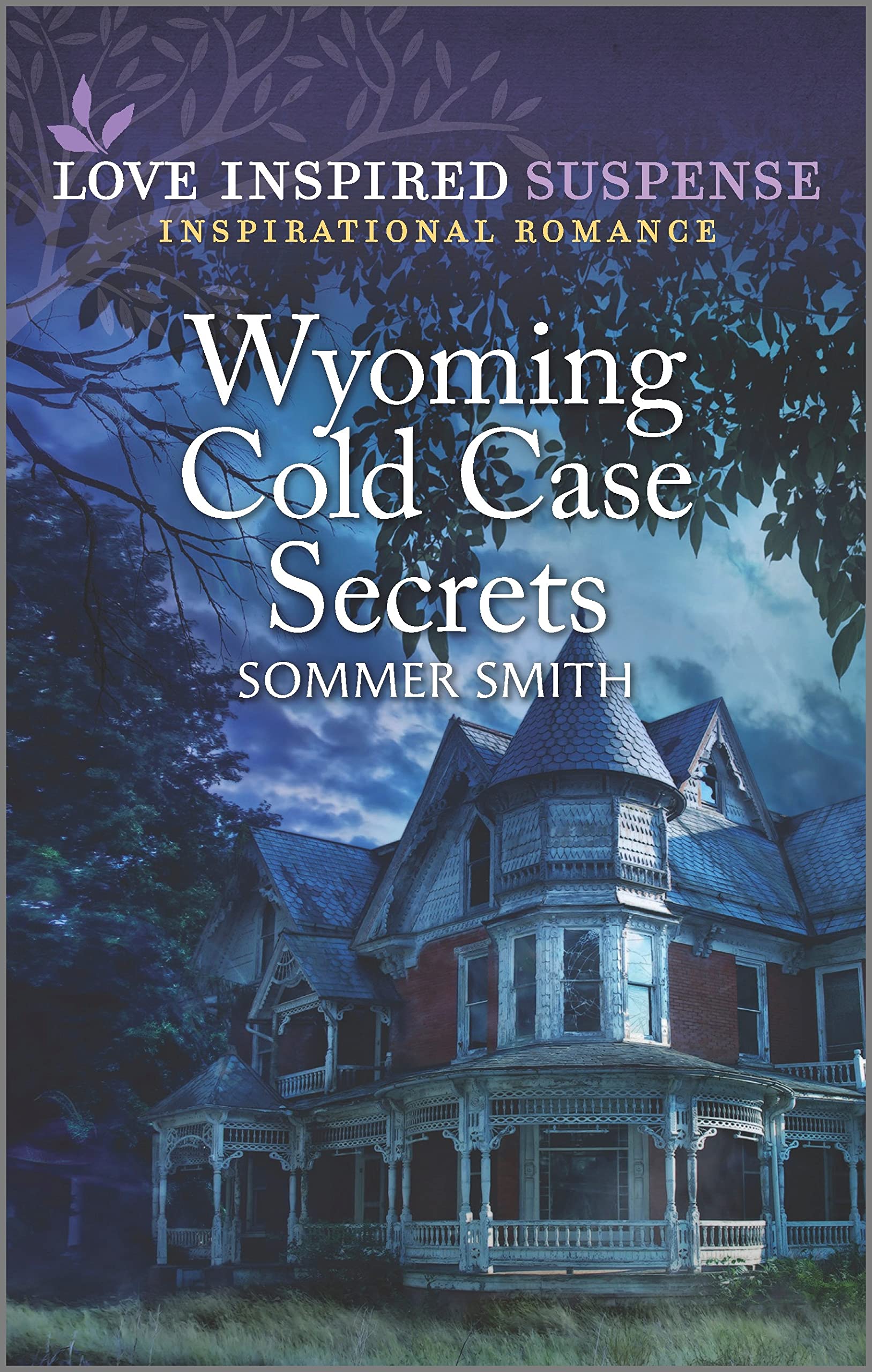 Wyoming Cold Case Secrets (Kindle Edition)