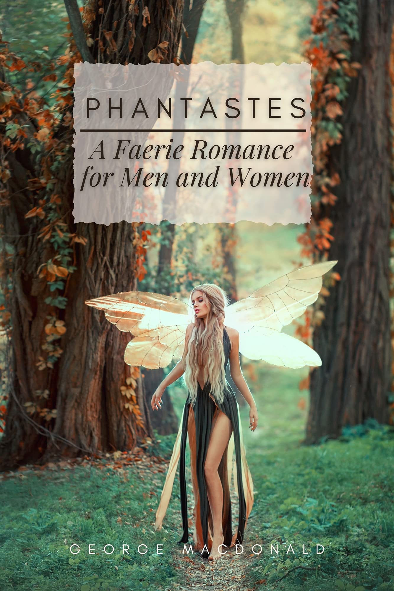 Phantastes: A Faerie Romance for Men and Women : With Original illustrations - Annotated - Classic Edition