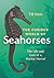 The Curious World of Seahor...