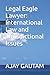 Legal Eagle Lawyer: Interna...