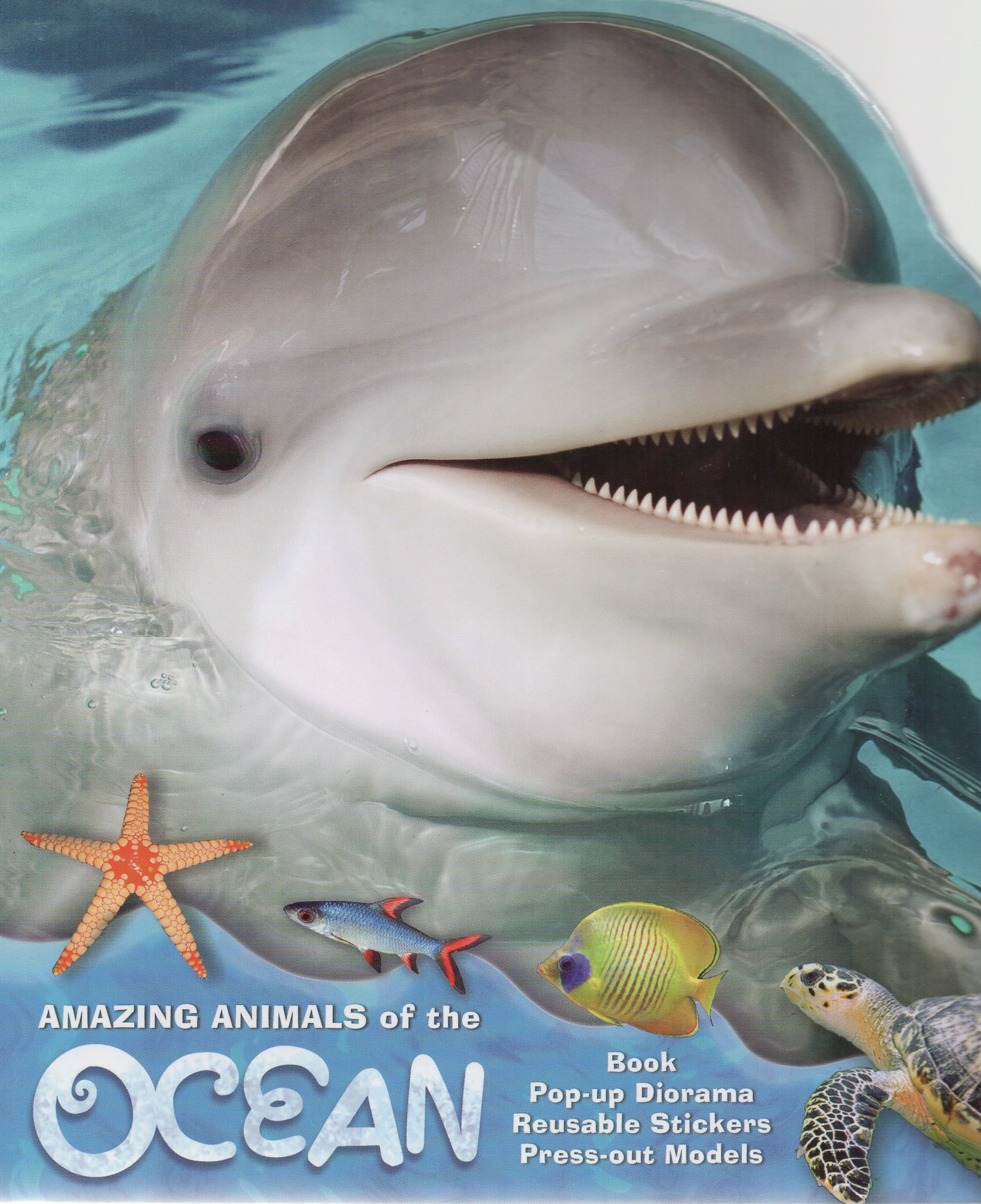 Amazing Animals of the Ocean (Paperback)
