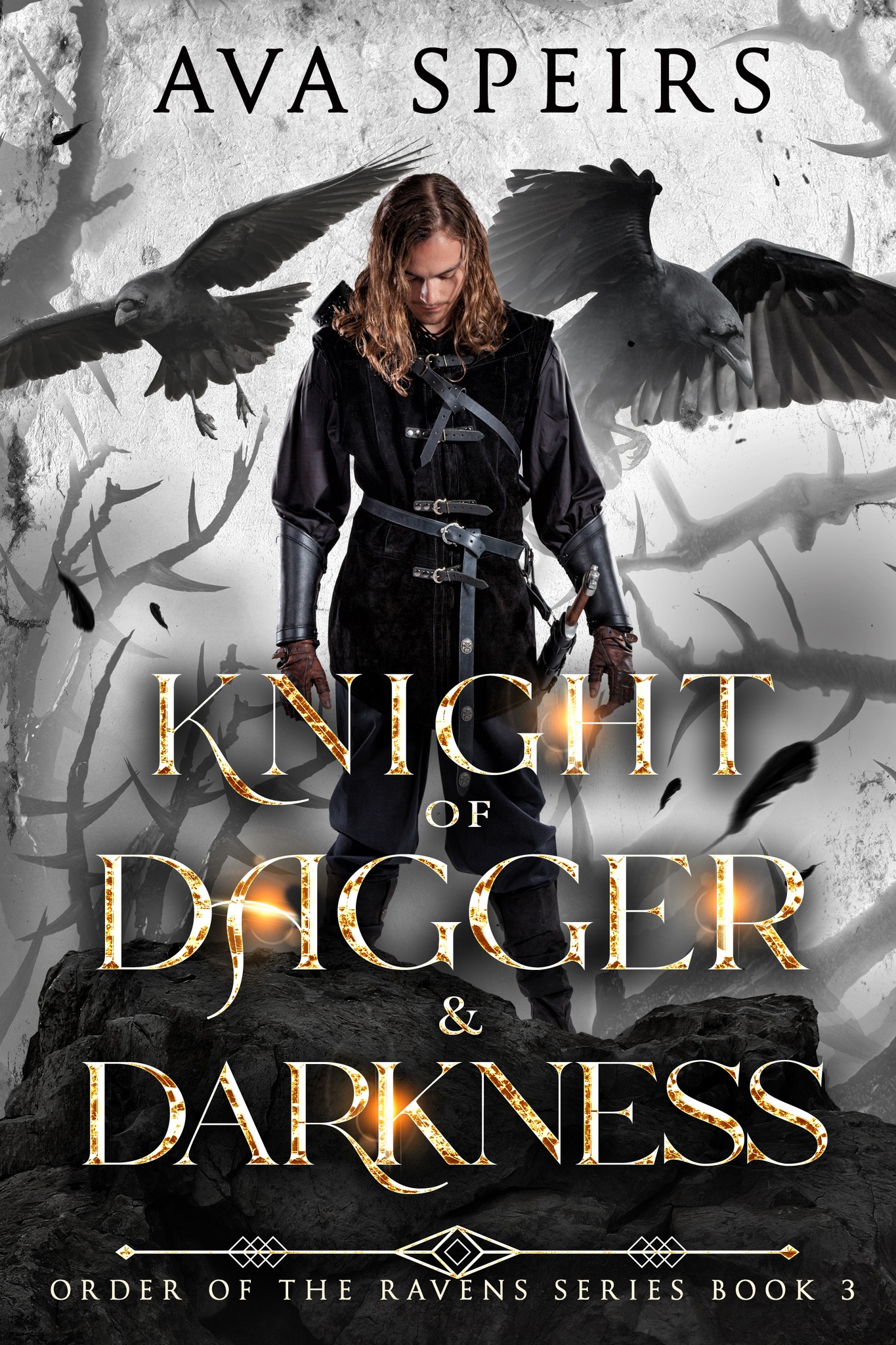 Knight of Dagger & Darkness (Order of the Ravens, #3)