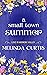 A Small Town Summer by Melinda Curtis