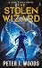 The Stolen Wizard by Peter J.  Woods