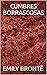 CUMBRES BORRASCOSAS (Spanish Edition)