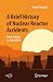 A Brief History of Nuclear Reactor Accidents: From Leipzig to Fukushima (Springer Praxis Books)
