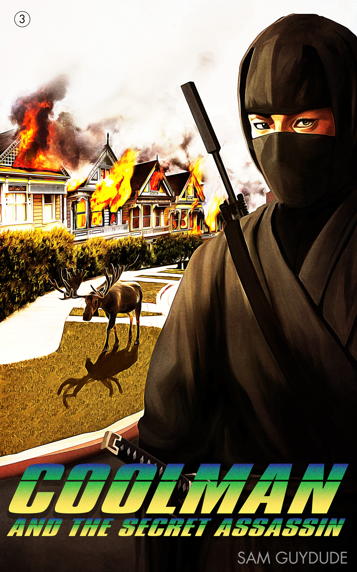 Coolman and the Secret Assassin (THE COOLMAN SERIES, #3)