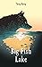 Big Fish Lake A Brilliant W...