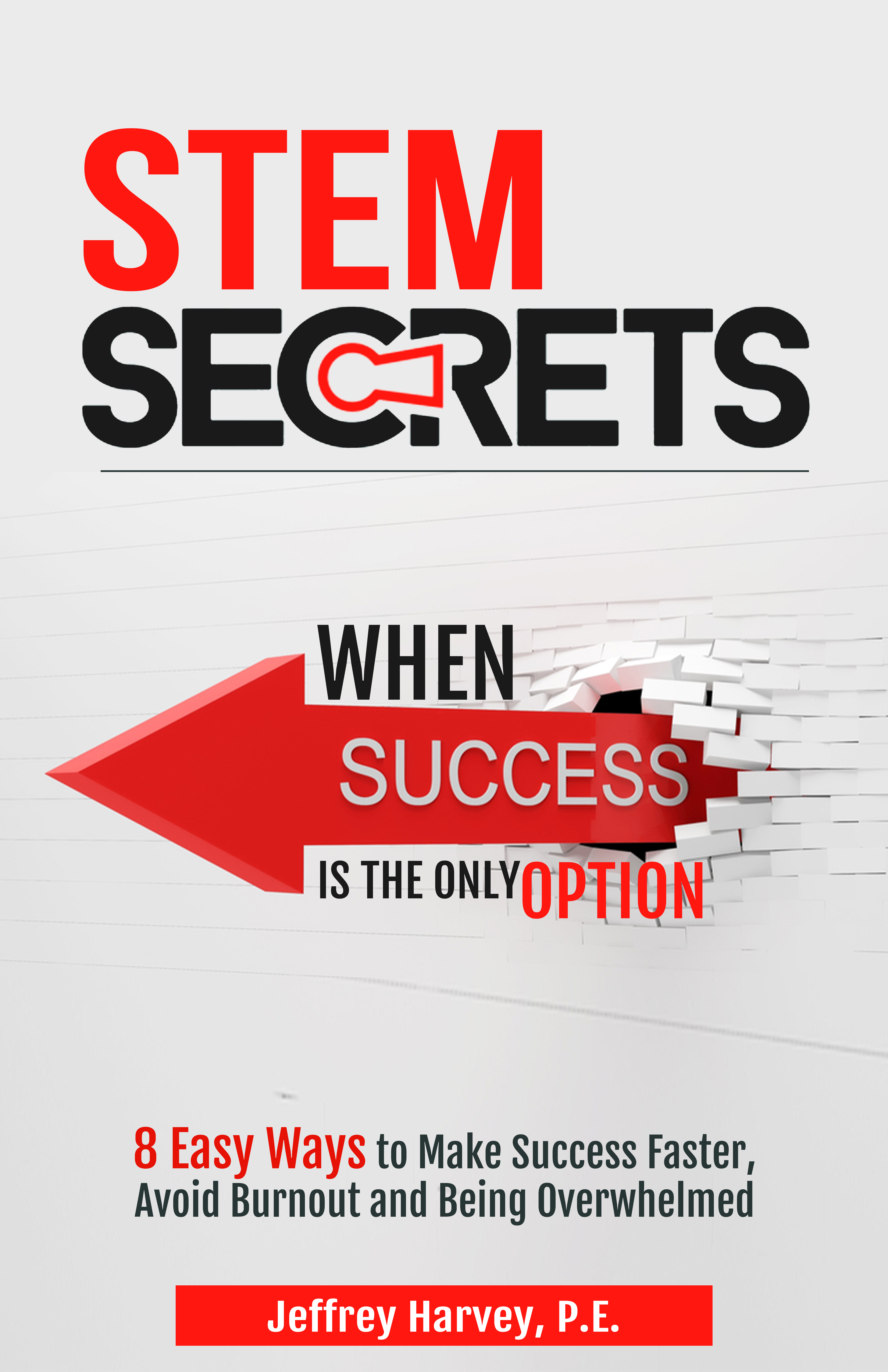 Stem Secrets When Success is the Only Option: 8 Easy Ways to Make Success Faster, Avoid Burnout and Being Overwhelmed