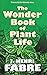 The Wonder Book of Plant Life