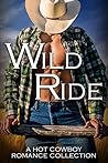 Wild Ride: A Hot ...