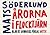 Årorna i Flocktjärn