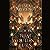 The Book That Wouldn’t Burn (The Library Trilogy, #1)