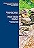 Word Order Matters: Current Issues in Syntax and Morpho-Syntax (Crossroads and Interfaces: Studies in Linguistics and Literature, 44)