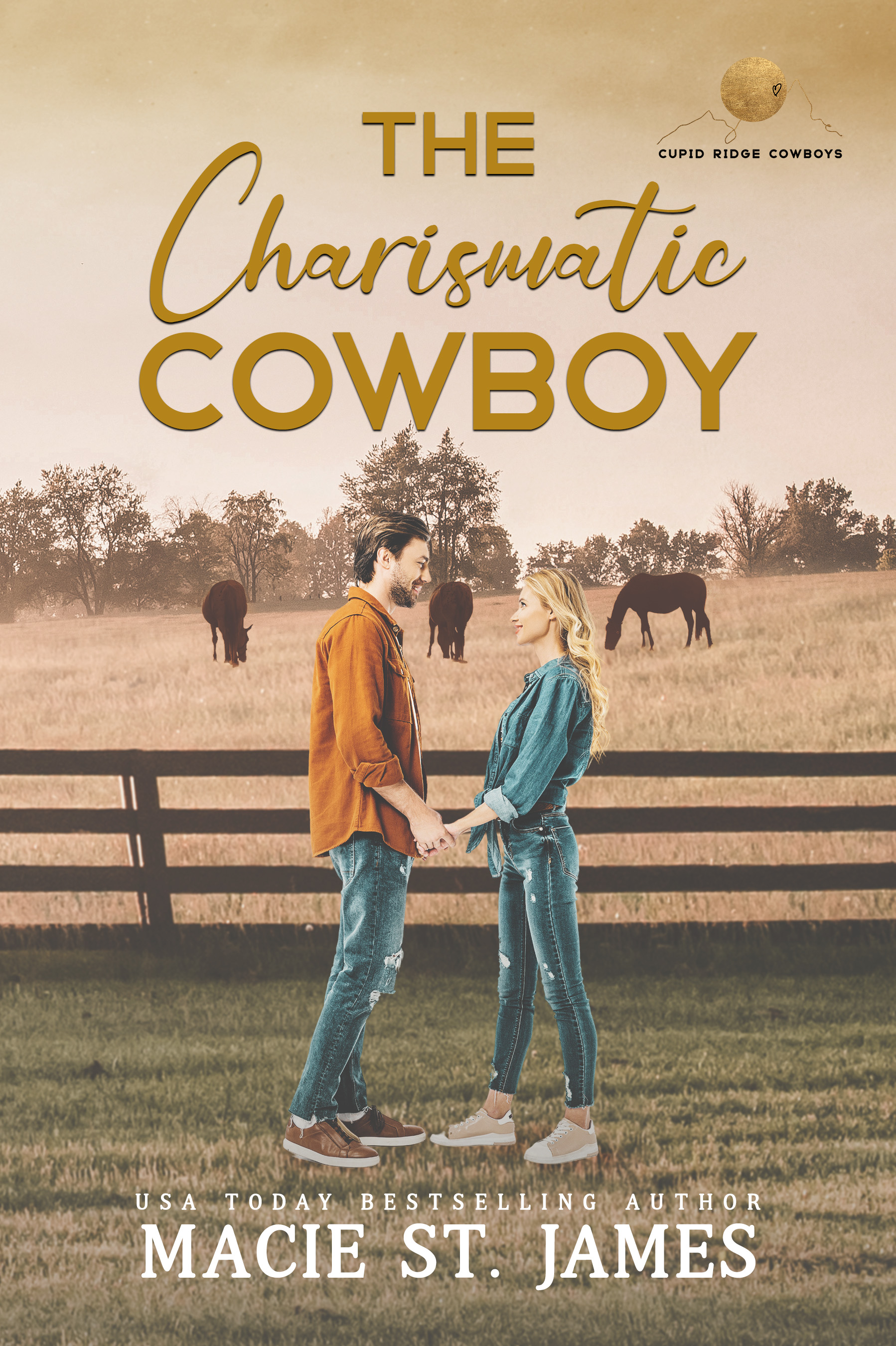 The Charismatic Cowboy (Cupid Ridge Cowboys, #3)