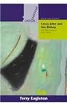 Crazy John and the Bishop, and Other Essays on Irish Culture (Critical Conditions: Field Day Essays and Monographs Volume 5)