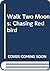 Walk Two Moons/Chasing Redbird