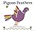 Pigeon Feathers (Books for Young Learners)