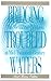 Bridging Troubled Waters: Mennonite Brethren at Mid-Twentieth Century