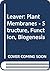 Plant Membranes (DISCONTINUED by Leaver