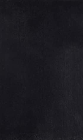 History of the Labor Movement in the United States, Vol. 10: The T.U.E.L. 1925-29