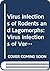 Virus Infections of Rodents and Lagomorphs: Virus Infections of Vertebrates Series (Volume 5) (Virus Infections of Vertebrates, Vol 5)