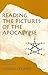 Reading the Pictures of the Apocalypse: Notes from Sixteen Lectures