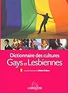 Dictionnaire des cultures gays et lesbiennes