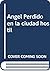 Angel Perdido en la ciudad hostil (Spanish Edition)