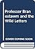 Professor Branestawm and the Wild Letters