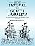 From Senegal to South Carolina: A Comprehensive Study of A People In Crisis