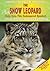 The Snow Leopard by Glenn Scherer