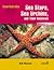 Sea Stars, Sea Urchins, and Their Relatives: Echinoderms (Invertebrates)
