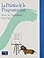 La Practica de La Programacion (Spanish Edition)