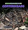 Copperheads (The Really Wild Life of Snakes)
