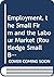 Employment, the Small Firm ...