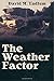 The Weather Factor by David McWilliams Ludlum