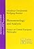Phenomenology And Analysis: Essays On Central European Philosophy (phenomenology & Mind)