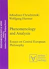 Phenomenology And Analysis: Essays On Central European Philosophy (phenomenology & Mind) Phenomenology And Analysis: Essays On Central European Philosophy (phenomenology & Mind)